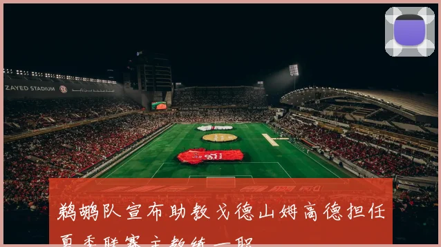 鹈鹕队宣布助教戈德山姆高德担任夏季联赛主教练一职