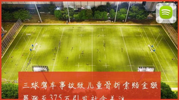 三球驾车事故致儿童骨折索赔金额暴涨至375万引发社会关注